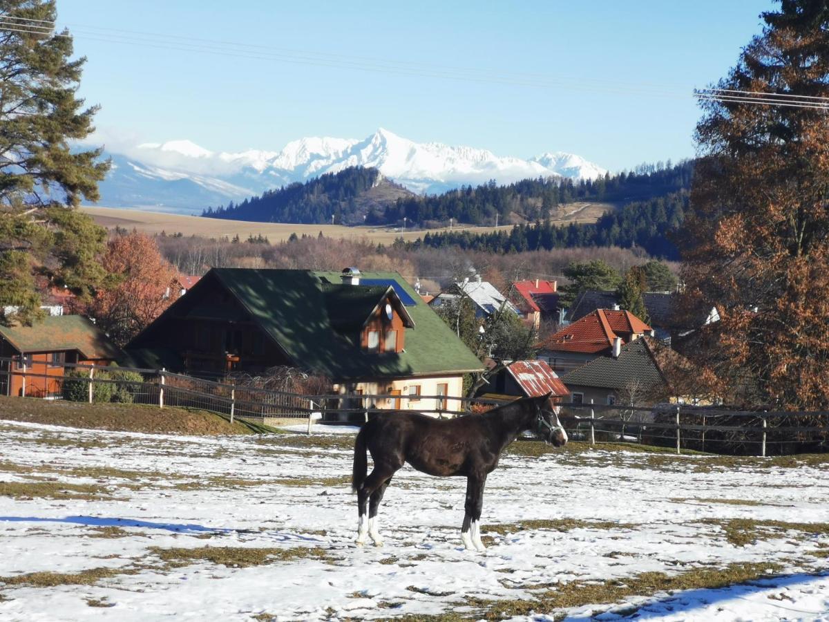 Holiday Home Kamienok 2 Liptovský Mikuláš 外观 照片